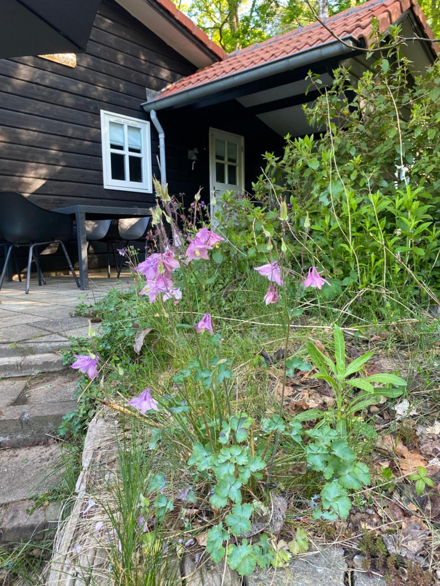 De Springop Chalet